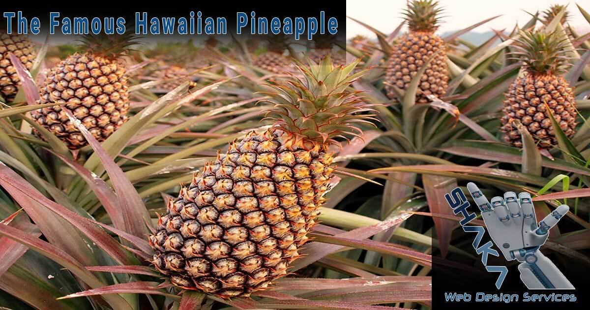The Hawaiian Pineapple It's Mystery and Fame 2020